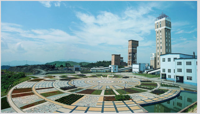 W020241121368829689928