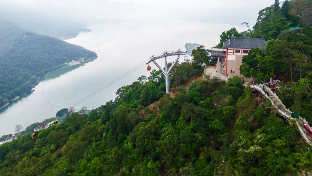 平博·pinnacle(中国集团)官方网站