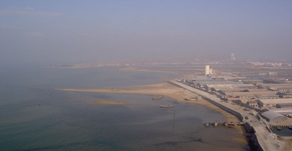 W020241119524347980200