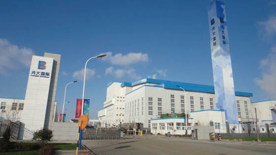 W020241119527191041455