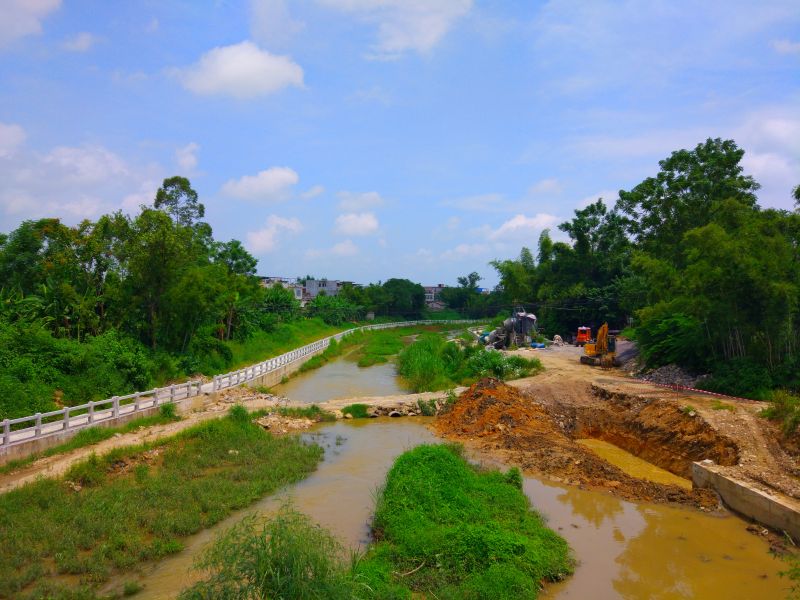 W020241119527181053605