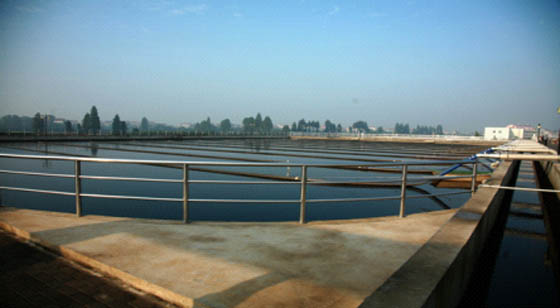 W020241119527687229907