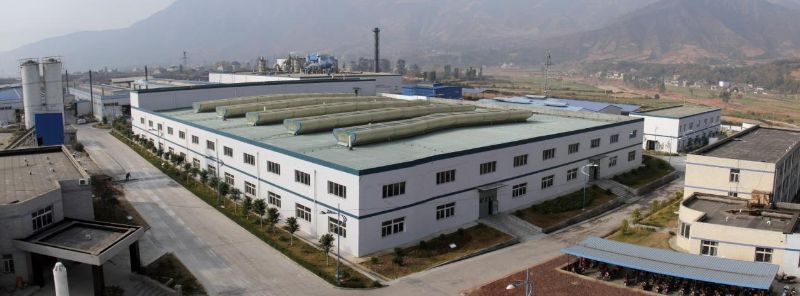 W020241119525550678368